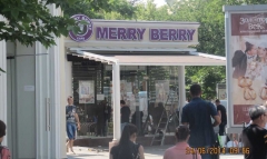 Терасні маркізи для Merry Berry